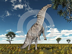 Dinosaur Amargasaurus