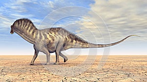 Dinosaur Amargasaurus