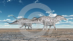 Dinosaur Amargasaurus
