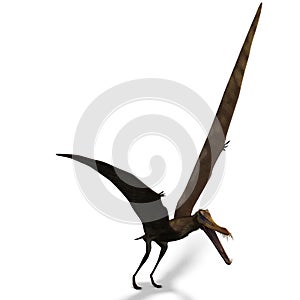 Dinosaur Anhanguera Pterosaur