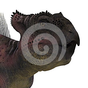 Dinosaur Archaeoceratops