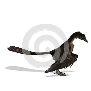 Dinosaur Archaeopteryx photo