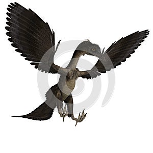 Dinosaur Archaeopteryx