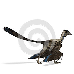 Dinosaur Archaeopteryx photo