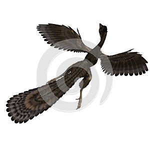 Dinosaur Archaeopteryx
