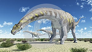 Dinosaur Argentinosaurus