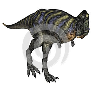 Dinosaur Aucasaurus