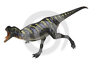 Dinosaur Aucasaurus