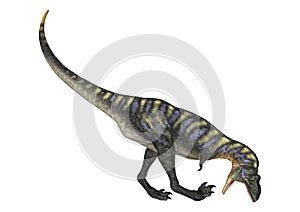 Dinosaur Aucasaurus