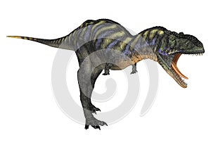 Dinosaur Aucasaurus