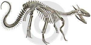 Dinosaur Bones Skeleton Illustration Isolated