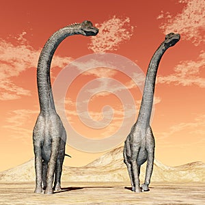 Dinosaur Brachiosaurus