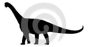 Dinosaur brachiosaurus; brontosaurus; diplodocus silhouette.