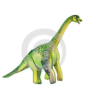 Dinosaur brachiosaurus cute watercolor