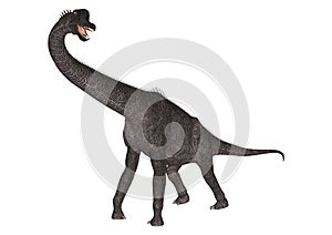 Dinosaur Brachiosaurus