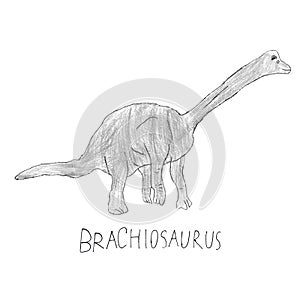 Dinosaur Brachiosaurus drawing. Pencil illustration. For your design