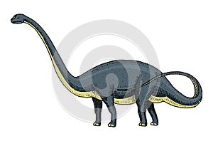 Dinosaur Brachiosaurus or sauropod, Plateosaurus, Diplodocus, Apatosaurus, skeletons, fossils, winged lizard. American