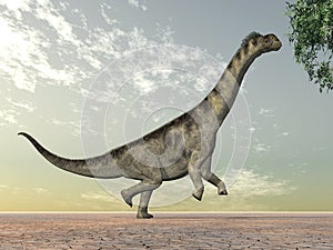Dinosaur Camarasaurus