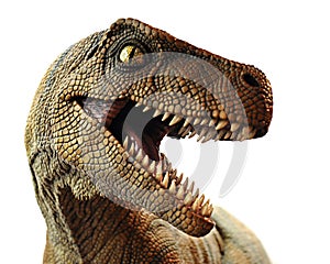 Dinosaur Closeup