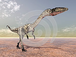 Dinosaur Coelophysis