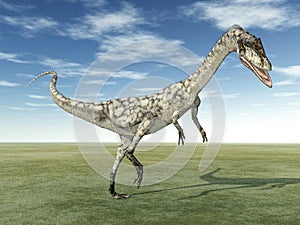 Dinosaur Coelophysis photo