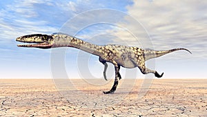 Dinosaur Coelophysis