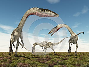 Dinosaur Coelophysis in a landscape