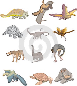 Dinosaur collection