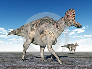Dinosaur Corythosaurus