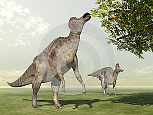 Dinosaur Corythosaurus