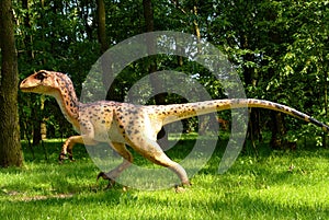 Dinosaur Deinonych, Deinonychus antirrhopus in jurassic park