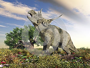 Dinosaur Diabloceratops