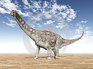 Dinosaur Diamantinasaurus