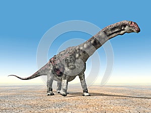 Dinosaur Diamantinasaurus
