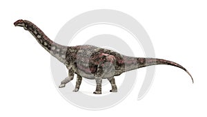 Dinosaur Diamantinasaurus