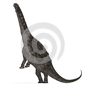 Dinosaur Diamantinasaurus