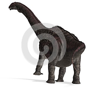 Dinosaur Diamantinasaurus