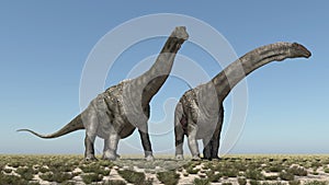 Dinosaur Diamantinasaurus in a landscape