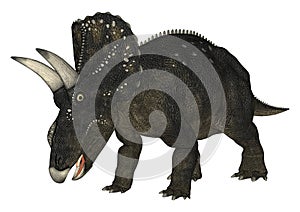 Dinosaur Diceratops