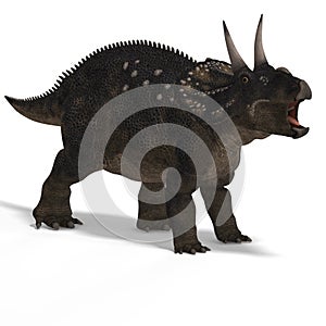 Dinosaur Diceratops