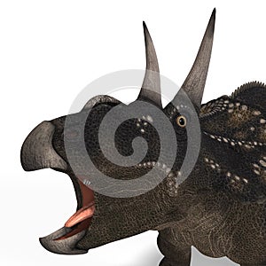 Dinosaur Diceratops