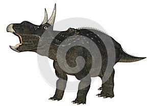 Dinosaur Diceratops