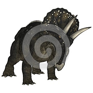 Dinosaur Diceratops