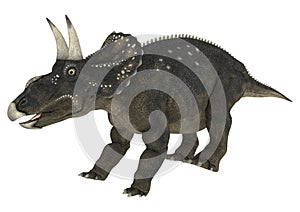 Dinosaur Diceratops