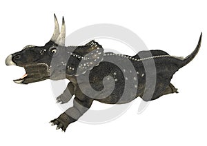 Dinosaur Diceratops
