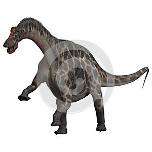 Dinosaur Dicraeosaurus