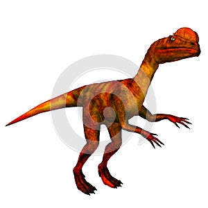 Dinosaur Dilophosaurus