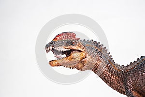 Dinosaur , Dilophosaurus on white background