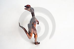 Dinosaur , Dilophosaurus on white background