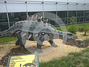 Dinosaur in dinopark